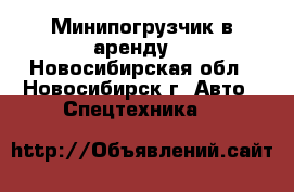 Минипогрузчик в аренду  - Новосибирская обл., Новосибирск г. Авто » Спецтехника   